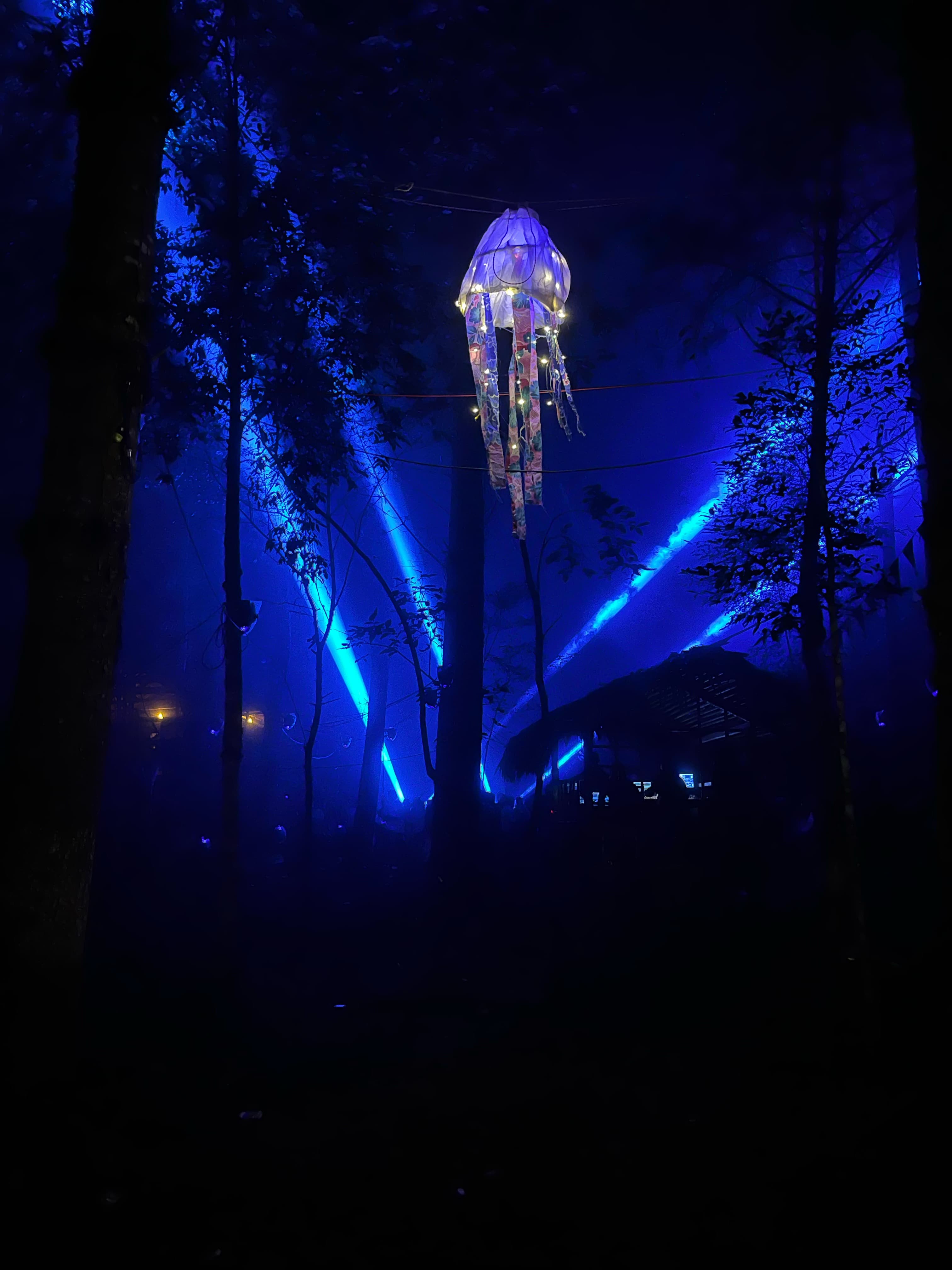 Photo from Ziro Music Festival