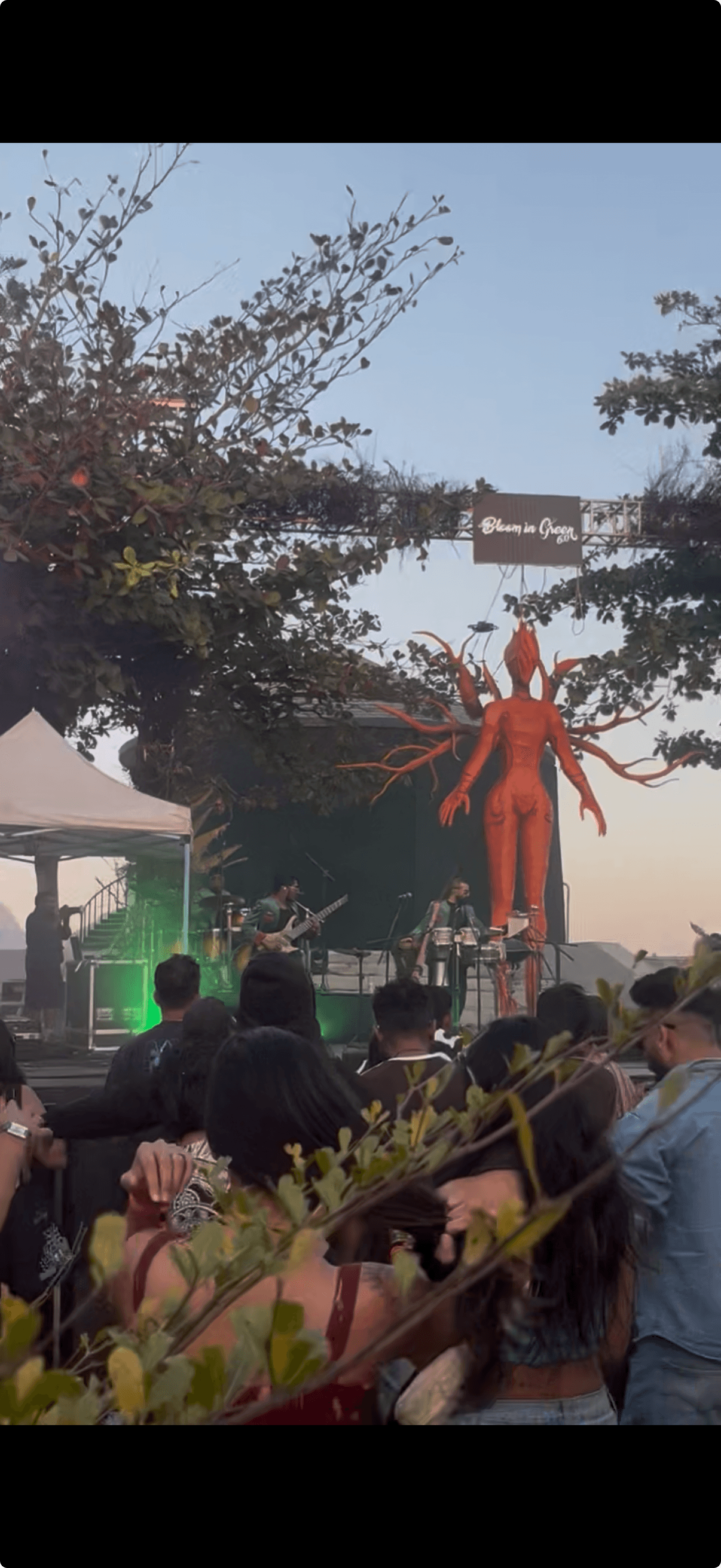 Photo from Bloom in Green Festival